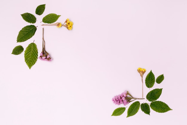 Disegno botanico con fiori e foglie