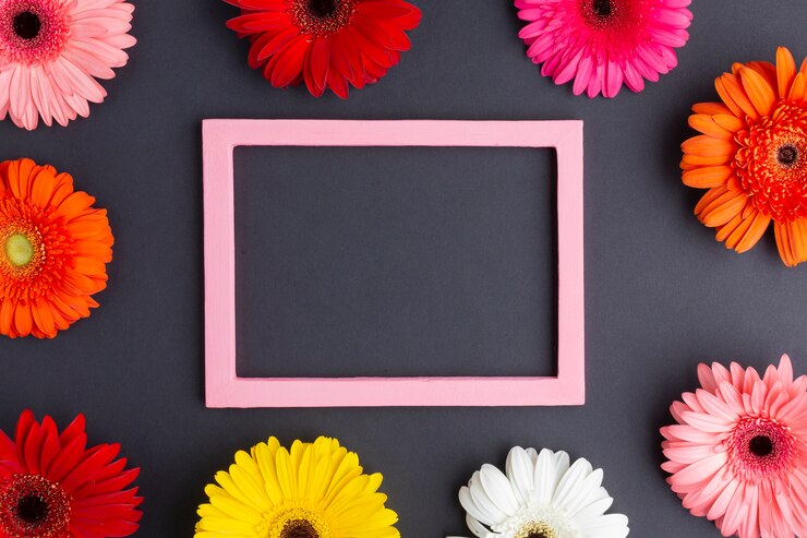 Foto gratuito disposizione carina con fiori margherita gerbera
