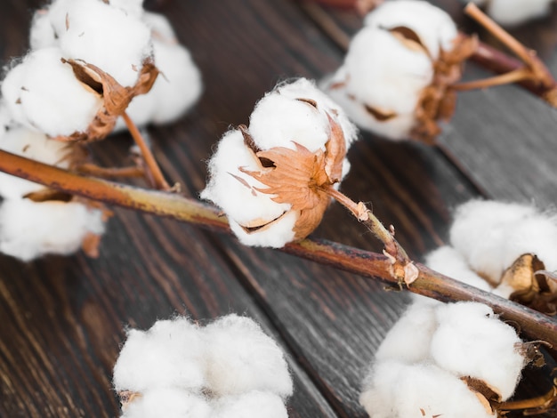 Disposizione con fiori di cotone su fondo in legno