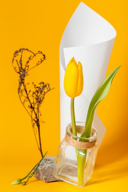 Disposizione con un tulipano in un vaso con un cono di carta