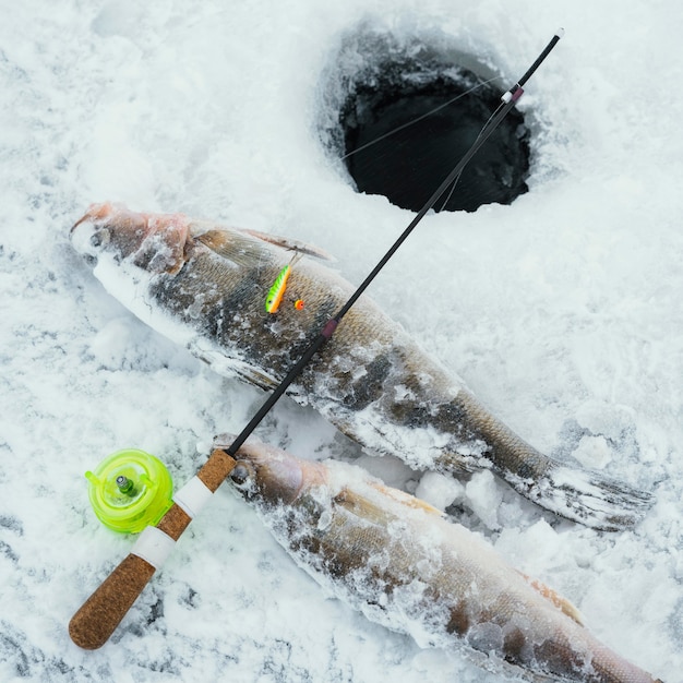 Disposizione degli elementi di pesca all'aperto