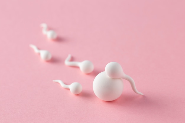 Disposizione dell'ovulo e degli spermatozoi ad alto angolo