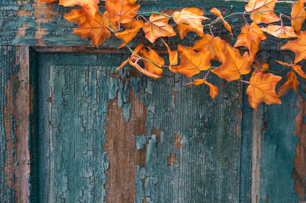 Disposizione della vecchia porta graffiata con foglie