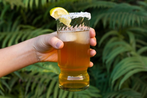 Disposizione di bevande speziate micheladada