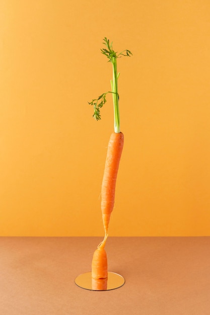 Disposizione di cibo vegetariano sano