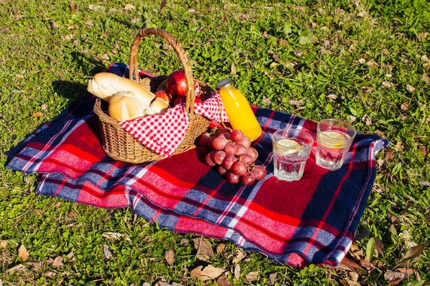 Disposizione di picnic dell'angolo alto su erba