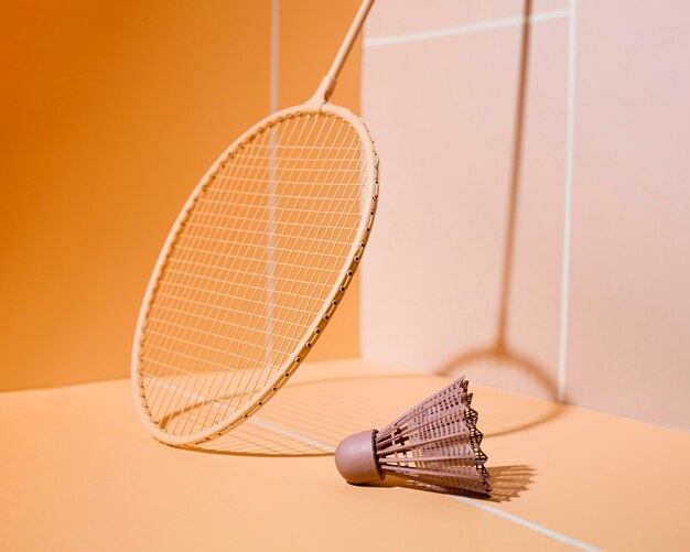 Disposizione di racchetta e volano da badminton