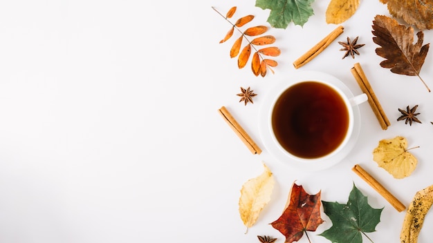 Disposizione di tazza di tè e fogliame