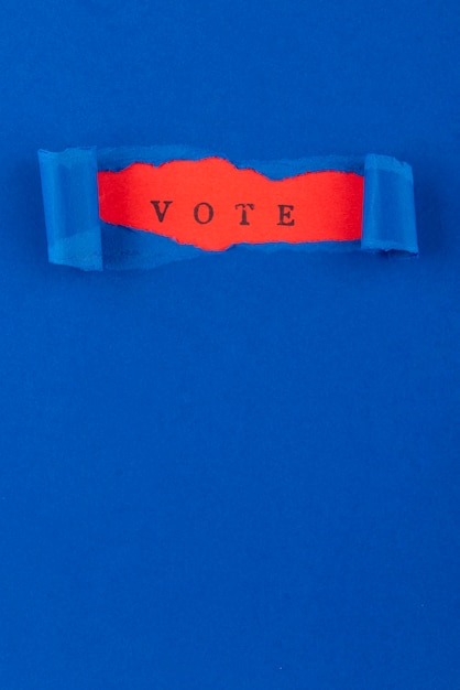 Disposizione di voto in stile carta vista dall'alto