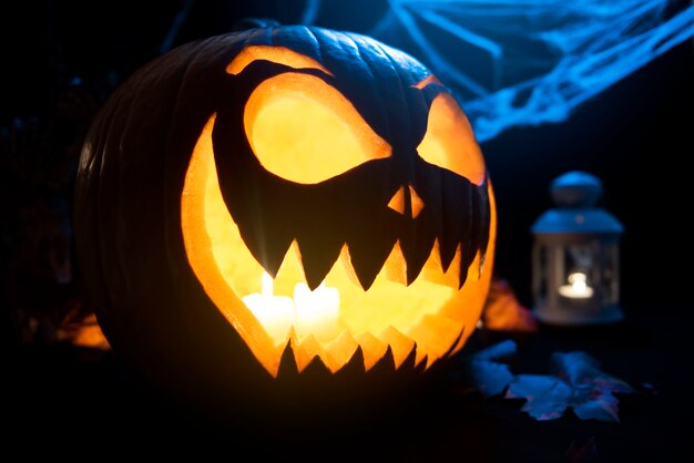 Disposizione di zucca e ragnatela di Halloween