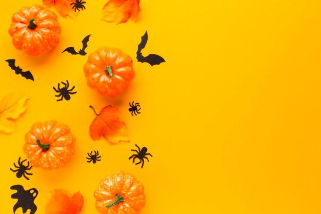 Disposizione di zucche decorative di halloween
