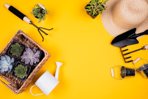 Disposizione piana degli strumenti di giardinaggio e cestino con le piante