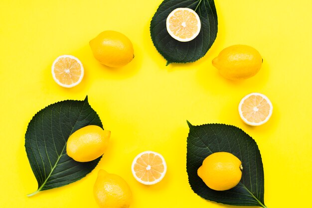 Disposizione piana dei limoni tropicali sulle foglie