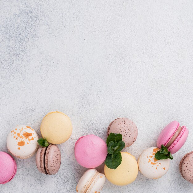 Disposizione piana dell'assortimento di macarons con lo spazio della copia e la menta