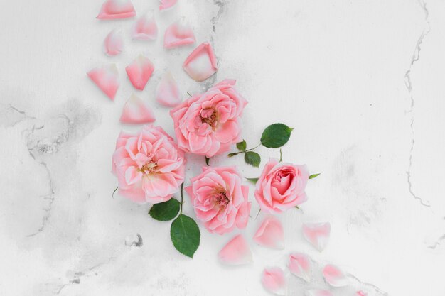 Disposizione piana delle rose della molla con i petali e il fondo di marmo