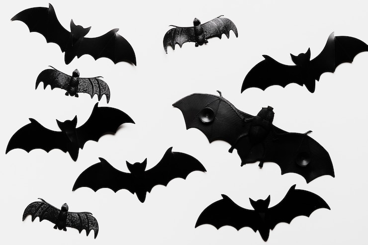 Foto gratuito disposizione piatta con pipistrelli