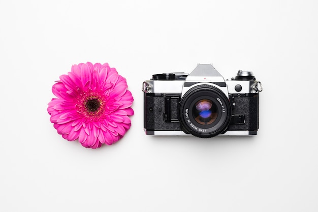 Disposizione piatta della macchina fotografica accanto al fiore
