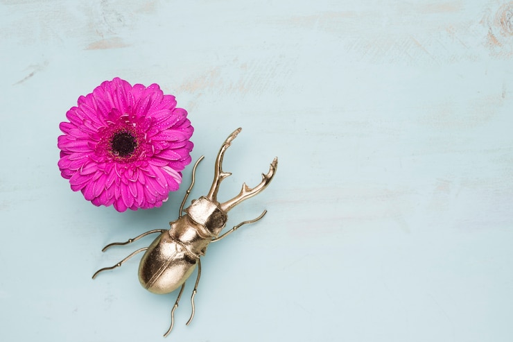 Foto gratuito disposizione piatta di fiori con copyspace