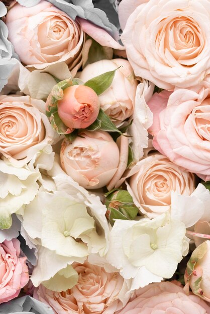 Disposizione piatta di fiori di rosa colorati splendidamente sbocciati