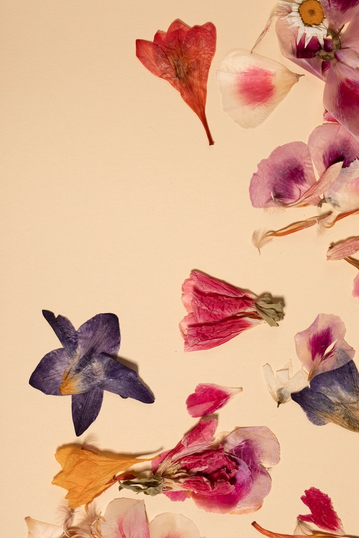 Foto gratuito disposizione piatta di fiori minimal
