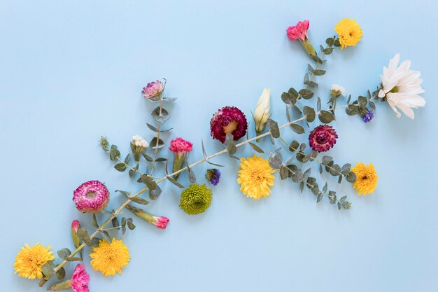 Disposizione piatta di una splendida composizione di fiori