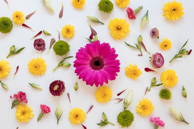 Disposizione piatta di una splendida composizione di fiori