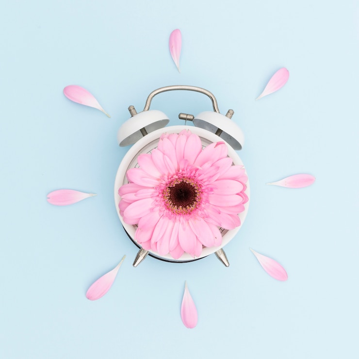 Foto gratuito disposizione vista dall'alto con margherita rosa e orologio
