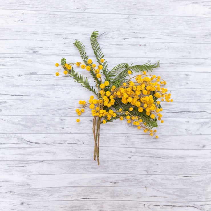 Foto gratuito distesi di bellissimi fiori selvatici