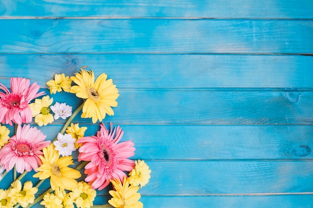 Diversi fiori morbidi sul tavolo blu