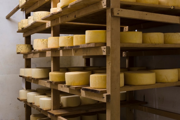 Diversi rotoli di formaggio francese al chiuso