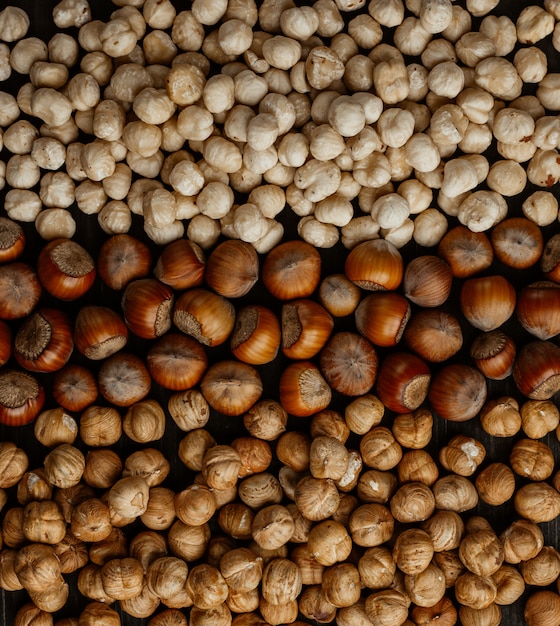 Diversi tipi di nocciole