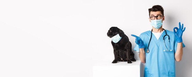Divertente cane carlino nero che indossa una maschera medica seduto vicino a un bel medico veterinario che mostra un segno ok
