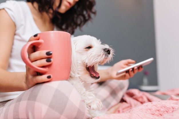 Dolce cagnolino bianco che sbadiglia in ginocchio giovane donna in pigiama agghiacciante sul letto con una tazza di tee. Godersi il comfort di casa con animali domestici, umore allegro