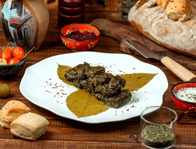 Dolma foglia d'uva con spezie