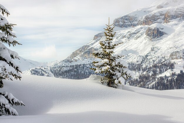 Dolomiti