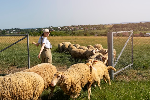 Donna a tutto campo che si prende cura delle pecore