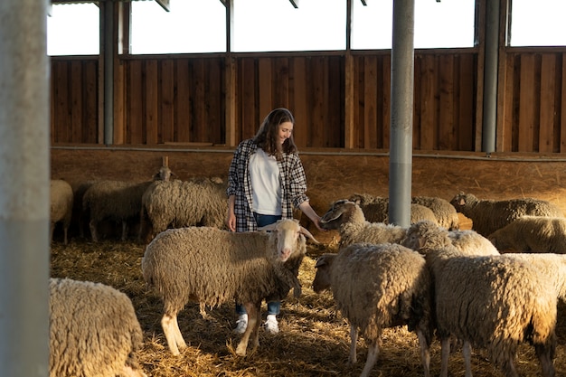 Donna a tutto campo che si prende cura delle pecore
