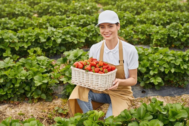 Donna accovacciata in serra con cesto di fragole