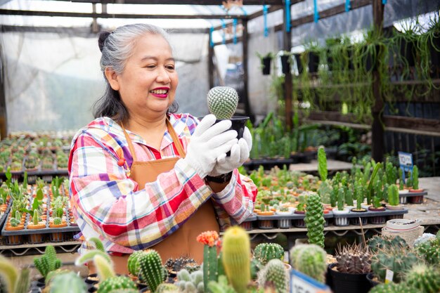 Donna anziana che esamina integrità dell'albero di cactus