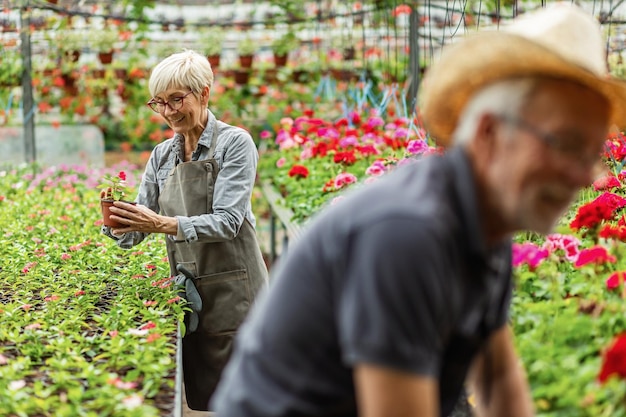 Donna anziana felice che si prende cura dei fiori mentre lavora nel vivaio