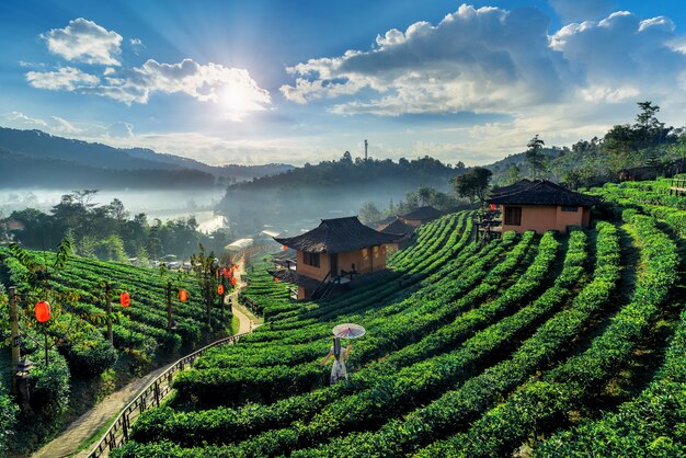 Donna asiatica che indossa abiti tradizionali cinesi al villaggio tailandese di Ban rak nella provincia di Mae Hong Son, Thailandia