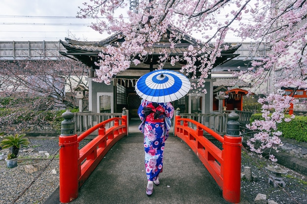 Donna asiatica che indossa kimono tradizionale giapponese e fiori di ciliegio in primavera, tempio di Kyoto in Giappone.