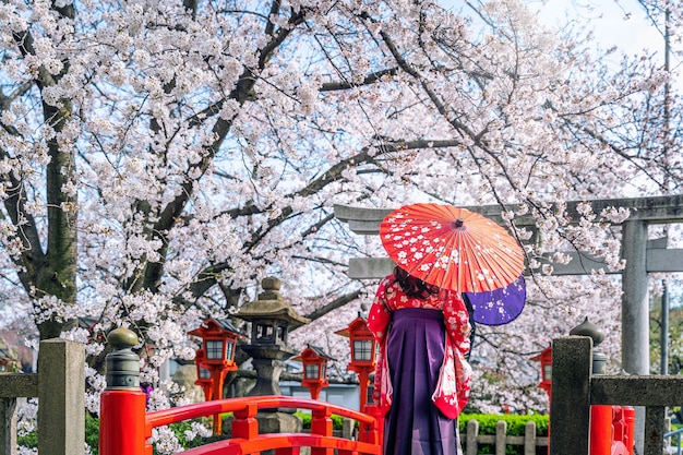 Donna asiatica che indossa kimono tradizionale giapponese e fiori di ciliegio in primavera, tempio di Kyoto in Giappone.