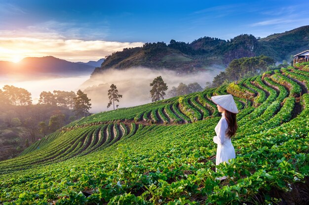 Donna asiatica che indossa la cultura del Vietnam tradizionale nel giardino di fragole su Doi Ang Khang, Chiang Mai, Thailandia.