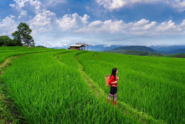 Donna asiatica che indossa la cultura tailandese tradizionale al terrazzo del riso di Ban pa bong piang a Chiang Mai, Thailandia