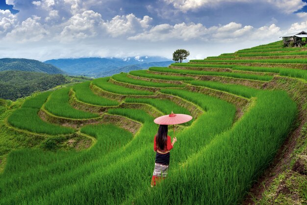 Donna asiatica che indossa la cultura tailandese tradizionale al terrazzo del riso di Ban pa bong piang a Chiang Mai, Thailandia