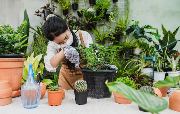 Donna asiatica del giardiniere che indossa maschera facciale e grembiule che usa la pala per trapiantare piante d'appartamento e cactus