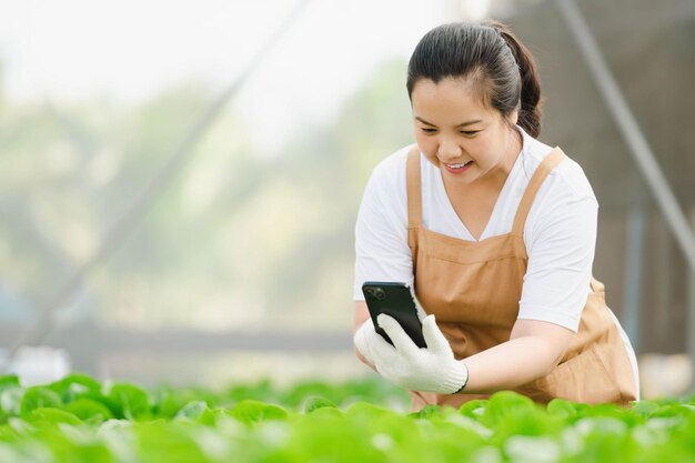Donna asiatica dell'agricoltore che lavora nella fattoria idroponica di verdure organiche. Proprietario dell'orto di insalata idroponica che controlla la qualità della verdura nella piantagione di serre.
