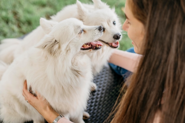 Donna che accarezza i cani adorabili