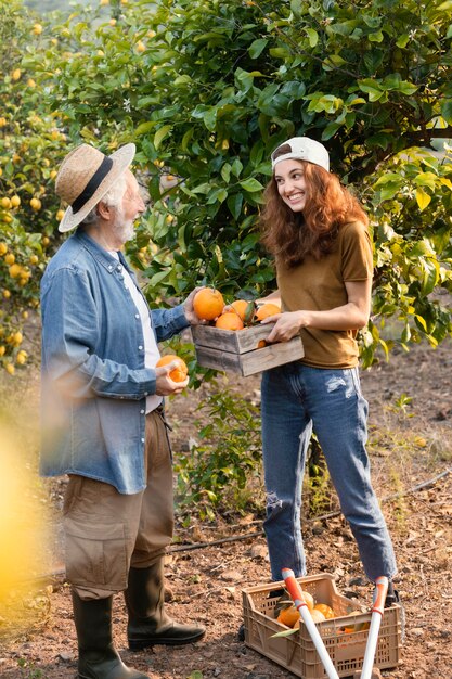 Donna che aiuta il suo papà a prendere delle arance dagli alberi del giardino